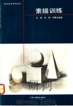 素描训练   1990  PDF电子版封面  7530500678  孙敬等编写 