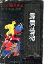 霹雳蔷薇 4 1993 PDF电子版封面 7540411236 诸葛青云著