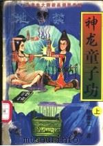 神龙童子功 上中下 1997 PDF电子版封面 7805065551 卧龙生著