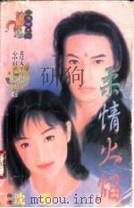 柔情火焰 1998 PDF电子版封面 7204032428 沈亚著