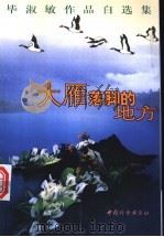 大雁落脚的地方 毕淑敏作品自选集 1999 PDF电子版封面 7801313208 毕淑敏著