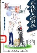 坏男孩?好男孩? 正在长大的男孩 1999 PDF电子版封面 7806412387 刘光华主编