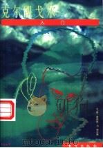 克尔凯戈尔入门 1998 PDF电子版封面 7506010313 (美)唐纳德·D.帕尔默(Donald D.Palmer)文