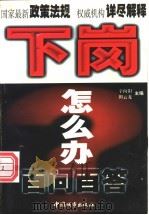 下岗怎么办:百问百答 1998 PDF电子版封面 7507410269 辛向阳,田云龙主编