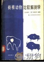 脊椎动物比较解剖学 中 1988 PDF电子版封面 7040010496 张孟闻编著