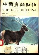 中国鹿类动物 1992 PDF电子版封面 7561707959 盛和林等著