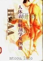 人体表面解剖学及图谱 1997 PDF电子版封面 753491826X 郭志坤等主编