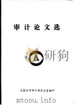 审计论文选（1999 PDF版）