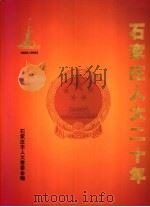 石家庄人大二十年  下（ PDF版）