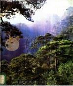 泰山摄影艺术 1982 PDF电子版封面 8099·2404 中国摄影家协会山东分会著