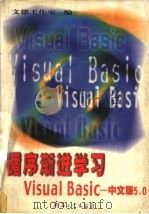 循序渐进学习Visual Basic 中文版5.0 1999 PDF电子版封面 7801326075 文德工作室编