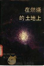 在燃烧的土地上 抗战文学的足迹 1988 PDF电子版封面 7537800251 姚乃文,姚宝╞编