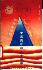 东方金字塔 中国青年诗人13家 1991 PDF电子版封面 753960364X 牛汉,蔡其矫主编