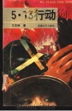 五·一三行动 1992 PDF电子版封面 7539607459 王宝林著