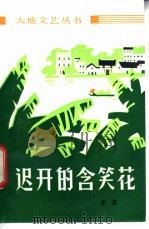 迟开的含笑花 短篇小说集 1985 PDF电子版封面 10111·1475 华棠著