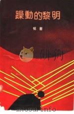 躁动的黎明 1992 PDF电子版封面 7536011288 杨群编著