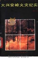 大兴安岭火灾纪实 1987 PDF电子版封面 7805490198 邓澍著