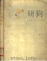 今日美国艺术 1988 PDF电子版封面 7561003072 (美)史密斯著;范岳等译