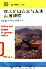 露天矿山安全与卫生实用规程 1992 PDF电子版封面 7504511609 劳动部矿山安全卫生监察局译