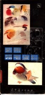 艺用翎毛资料 1983 PDF电子版封面 8161·0111 王一鸣编绘