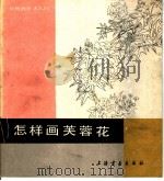怎样画芙蓉花 1988 PDF电子版封面 7805121575 朱秀坤编绘