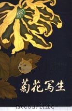 菊花写生 1979 PDF电子版封面 8081·11455 李天行绘