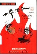 十年浩劫 大纲垂天 第1部 1986 PDF电子版封面 黑雁男编