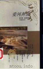 爱河奔流 1994 PDF电子版封面 7500616333 曾庆瑞,赵遐秋编选马相武点评