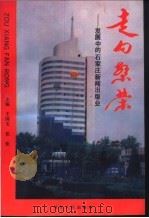 走向繁荣 发展中的石家庄新闻出版业 1995 PDF电子版封面 7202017962 王国玉,张炬主编