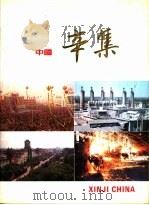 中国辛集（ PDF版）