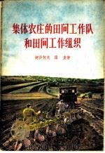 集体农庄的田间工作队和田间工作组织 1956 PDF电子版封面 T4090·11 (苏)舒沙柯夫,(苏)罗查著;刘文彬译