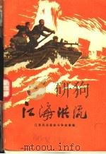 江海洪流 江苏民兵革命斗争故事集 1973 PDF电子版封面 10100·044 江苏省军区政治部编