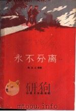 永不分离 1960 PDF电子版封面 10088·399 鲁克义等著