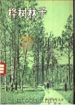 桦树林子 1958 PDF电子版封面 10078·1575 (苏)格拉特柯夫(Х.В.Гладков)著;岳麟译