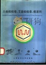 白血病病毒、艾滋病病毒、癌基因 1996 PDF电子版封面 7562703086 郑葆芬主编;马继延等编写