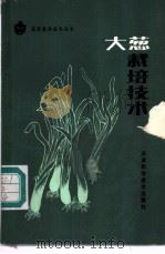 大葱栽培技术 1987 PDF电子版封面 7530800981 陈光星编著