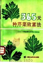365天种芹菜致富法 1993 PDF电子版封面 7800265528 宋元林等编著