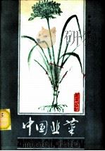 中国韭菜 1989 PDF电子版封面 7109009394 蒋名川编著