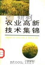 农业高新技术集锦 1993 PDF电子版封面 7805725799 刘统侠主编