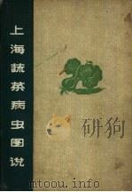 上海蔬菜病虫图说 1990 PDF电子版封面 16119·415 上海市农业科学研究所,上海市植物检疫站合编