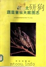 河北蔬菜害虫天敌图志 1991 PDF电子版封面 710902122X 河北省邢台市农林技术推广中心主编