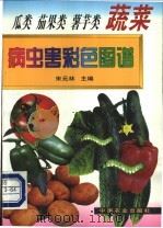 瓜菜 茄果类 薯芋类 蔬菜病虫害彩色图谱 1999 PDF电子版封面 7109055035 宋元林主编