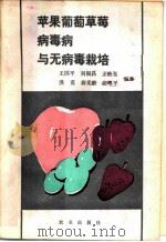苹果葡萄草莓病毒病与无病毒栽培 1993 PDF电子版封面 7109028127 王国平,刘福昌,王焕玉等编著