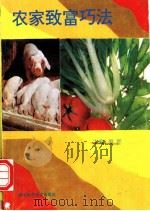 农家致富巧法（1994 PDF版）