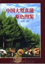 中国大型真菌原色图鉴 1998 PDF电子版封面 7109049418 黄年来主编