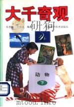 大千奇观·动物  下（1998 PDF版）
