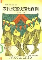 农民致富诀窍七百例 1991 PDF电子版封面 750320320X 王文元主编