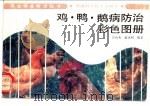 鸡·鸭·鹅病防治彩色图册 1991 PDF电子版封面 7535708773 曾衡秀,俞火明编著;子培等绘