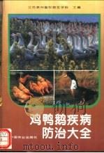 鸡鸭鹅疾病防治大全 1994 PDF电子版封面 7109034798 江苏省泰州畜牧兽医学校主编