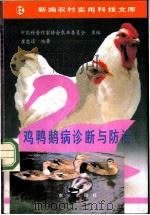 鸡鸭鹅病诊断与防治   1991  PDF电子版封面  7109020088  中国科普作家协会农业委员会主编；崔忠道编著 